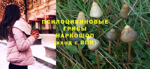 молекула духа Богородск