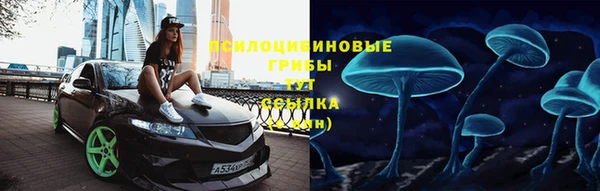 Альфа ПВП Богородицк