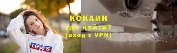 молекула духа Богородск