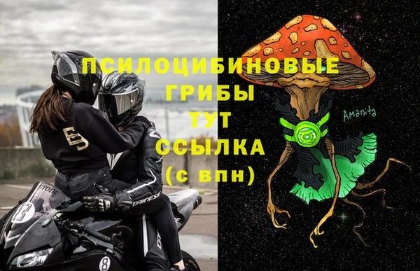 молекула духа Богородск