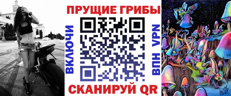 Купить закладки  Краснослободск  Галлюциногенные грибы MAGIC MUSHROOMS 